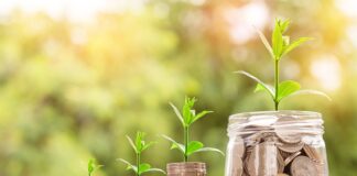 Czy pieniądze z wesela trzeba zgłosić do urzędu skarbowego?