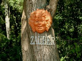 Czy spirytus niszczy grzyby?