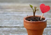 Jak rozciągnąć skórę? Jak rozciągnąć skórę?