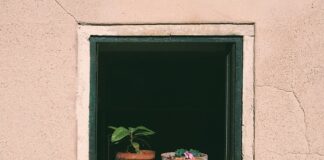 Gdzie wyrzucić stare doniczki plastikowe?