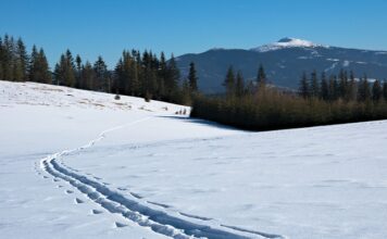 Jakie rękawice na skitury? Jakie rękawice na skitury?