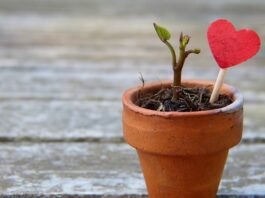 Jak rozciągnąć za ciasne buty?