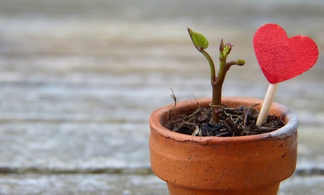 Jak rozciągnąć za ciasne buty? Jak rozciągnąć za ciasne buty?