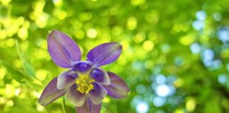 Gdzie kupić czepek pod prysznic?