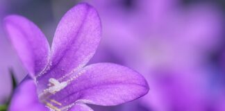 Jaki materiał tapicerski wybrać?