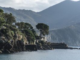 Ile kosztuje dobry płaszcz?