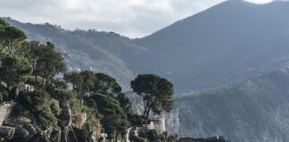 Ile kosztuje dobry płaszcz?