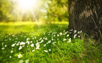 Jak prać białe buty w pralce?