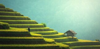 Za co się przebrać na bal przebierańców?