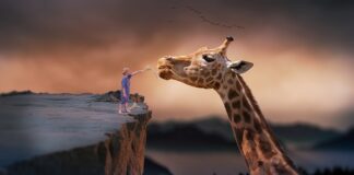 Czy da się żyć bez dwóch nerek?