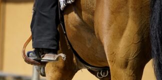 Kiedy nie wypada zakładać rajstop?