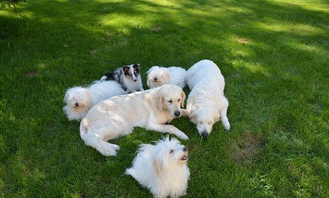 Co nosić pod płaszczem?