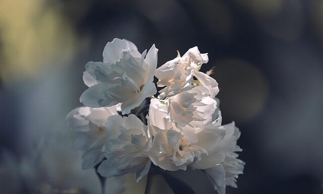 Jak nosić białe buty męskie? Jak nosić białe buty męskie?