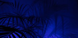 Co oznacza skrót P na kopercie?