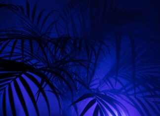 Co oznacza skrót P na kopercie? Co oznacza skrót P na kopercie?