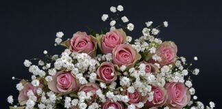 Jakich kwiatów nie powinno się mieć w domu?