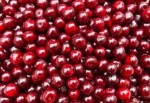 Jak zrobić konfitury z róży?