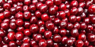 Jak zrobić konfitury z róży?