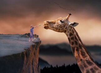 Czy da się żyć z jedną nerka?