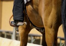 Czego nie zakładać do pracy? Czego nie zakładać do pracy?