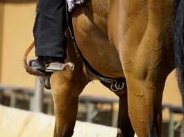 Czego nie zakładać do pracy?