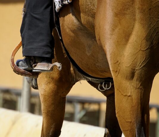 Czego nie zakładać do pracy?