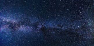 W czym nosić laptopa na studia?