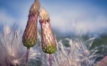Jak zamaskować zarysowania na butach?