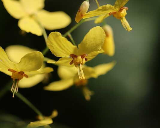 Jakie skarpetki do czarnych spodni?