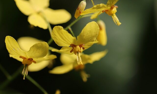 Jakie skarpetki do czarnych spodni?