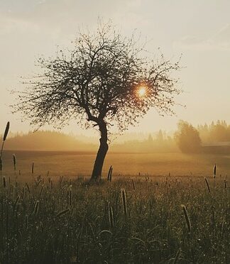 Czy rana zagoi się bez szycia?
