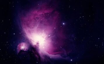 Do czego założyć czarny płaszcz? Do czego założyć czarny płaszcz?