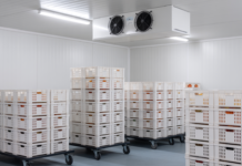 Niewidzialna fizyka magazynów chłodniczych – jak mikroklimat wpływa na jakość i trwałość produktów? magazyn chłodniczy