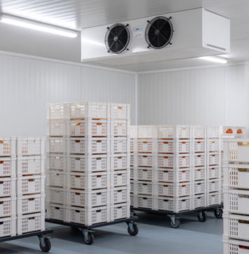 Niewidzialna fizyka magazynów chłodniczych – jak mikroklimat wpływa na jakość i trwałość produktów? magazyn chłodniczy