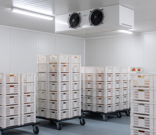 Niewidzialna fizyka magazynów chłodniczych – jak mikroklimat wpływa na jakość i trwałość produktów? magazyn chłodniczy